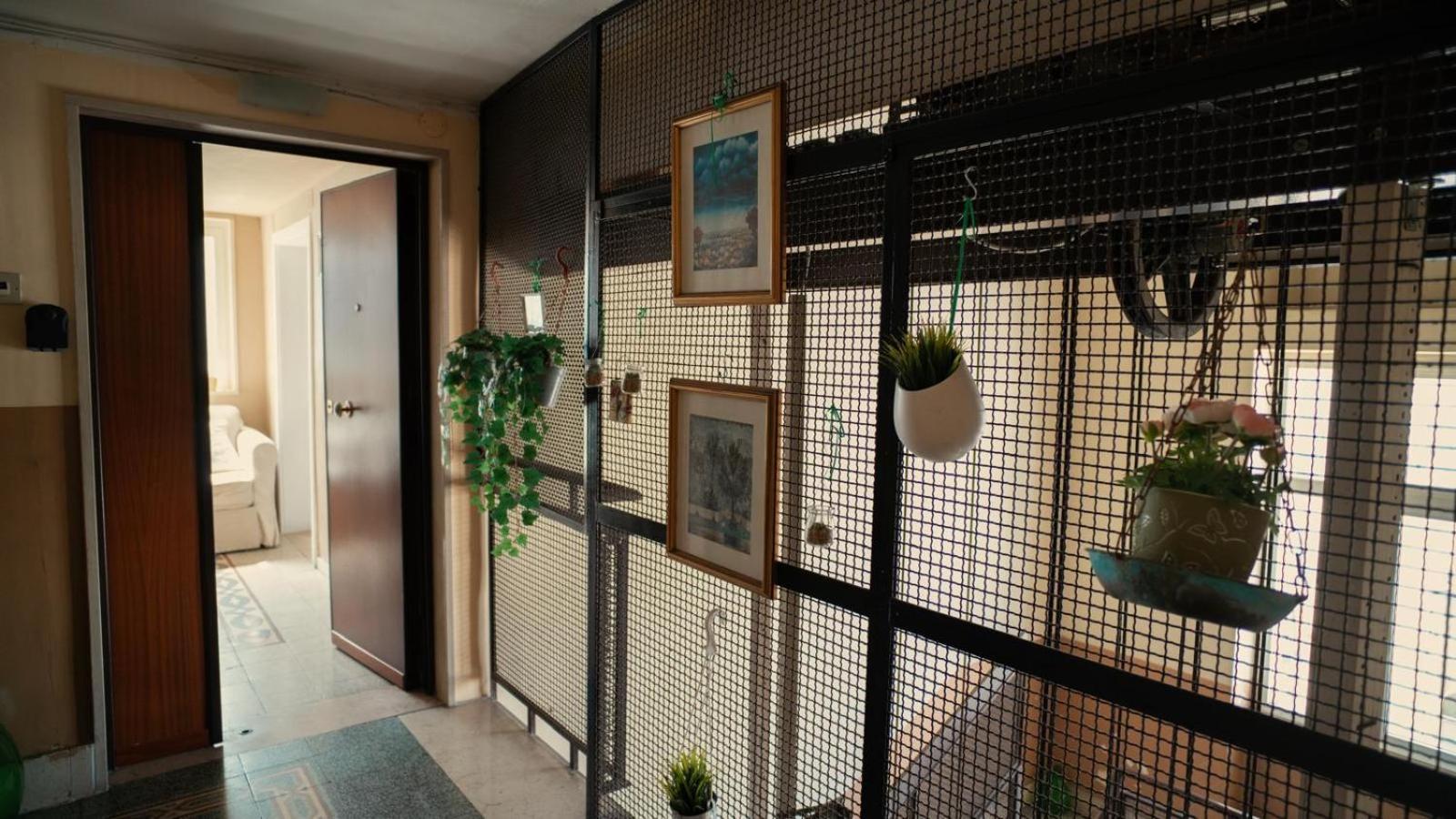 Casa Di Joe Villa Bari Eksteriør bilde